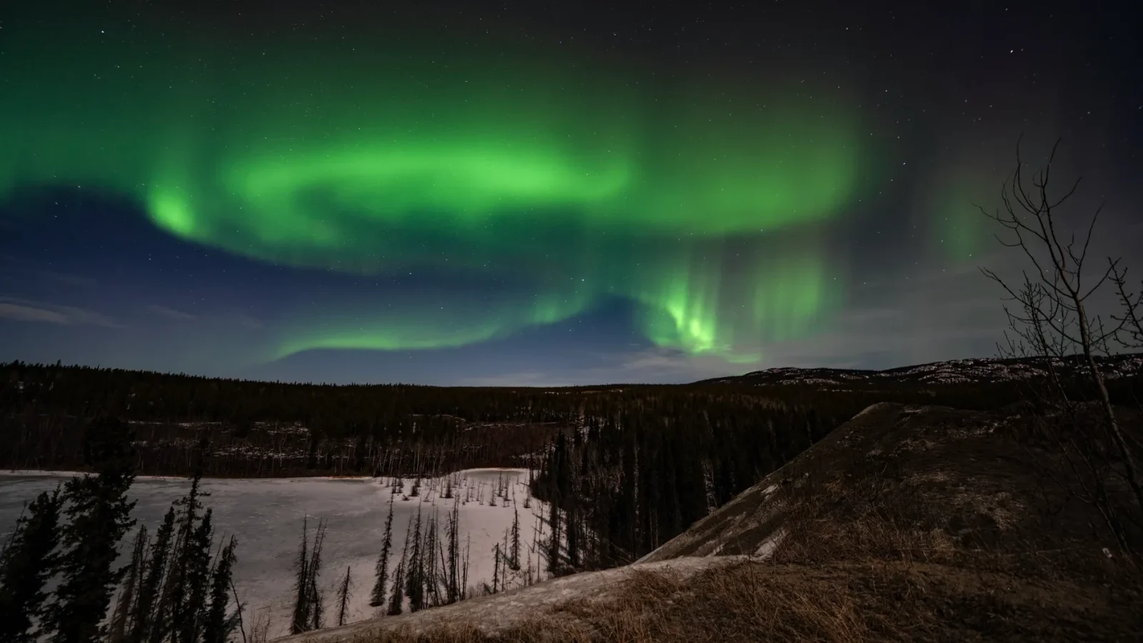 Whitehorse Northern Lights Guide